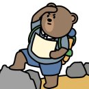 영창비닐 이미지