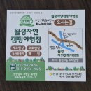 솔밭관광농원야영장 | 경남 거창 캠핑장 추천 월성자연캠핑야영장에서의 겨울캠핑