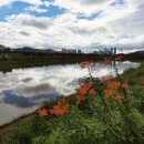 화강목장 이미지