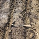 강일 농장 이미지