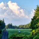 나인브릿지 퍼블릭(대중형6홀) | 제주 나인브릿지 퍼블릭 : 6홀 노캐디 2인가능 골프장 방문후기