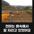 무주천마농장 이미지