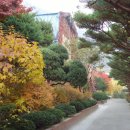 경기상업고등학교 이미지