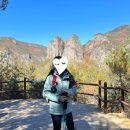 주산지 | 2025 주왕산 단풍시기 주봉 등산코스 후기 (주산지, 대전사 입장료, 날씨, 최단코스)