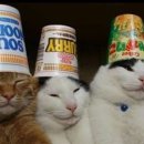 수채화(주간) 이미지