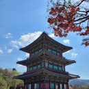 금수강산 이미지