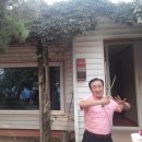 이상웅농장 티스토리