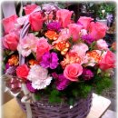 홀트대구종합사회복지관 이미지