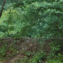 이가네삼계탕 이미지