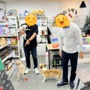 멍그니엘 애견호텔 서울강동점 | 강동구 애견호텔 비용 25,000원 마니사개