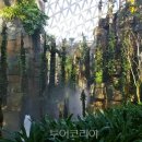 우림관광 이미지
