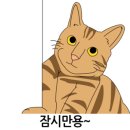 지경희동물병원 이미지