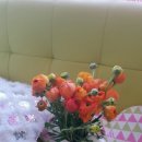 해천농장 이미지