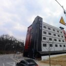 메이플무인텔 이미지