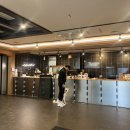 드림애견학교 이미지