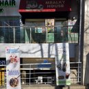 요거트아이스크림 맛집 요맛 선유도역점 | 요맛 홍대점 : 누텔라 &amp; 원물 가득 두바이 쫀득쿠키 맛집! 홍대입구역 두쫀쿠 내돈내산 솔직후기!