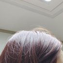 모즈토리전북대점