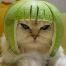 느긋 이미지