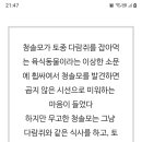 근거없이 얘를 미워했으니..... 이미지