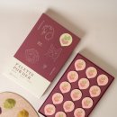 메이펫 | 펫모델과 함께한 반려동물 간식, 식품 촬영 이야기 / 페네핏