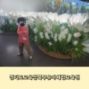 신안 북부 하나 어린이집 | 양주 아이랑 실내 가기좋은곳 아하놀이터 경기도교육청북부유아체험교육원
