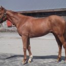 (주)수화은 이미지