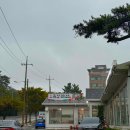 포에버펜션 B | 2024-09-17(TUE), 20(FRI) : 또 물왕 &amp; 영종도🍋💛