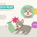 온하루 동물의료센터 이미지