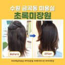 폴리프라자 | 수원 금곡동 미용실 추천 : 곱슬 심한 중단발 거지존 탈출 (초록미장원 방문 후기)