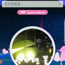 성지연꽃길 이미지