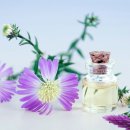 아로마테라피 이미지