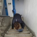 한라광택 이미지