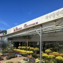 자양꽃직매장 이미지