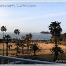 서귀포KAL호텔 이미지