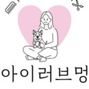 러브애견미용 이미지