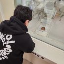 아빠와 요리교실 | 서울미즈병원 박현미원장님 자연분만 출산후기 VIP실(2박3일) &amp; 아빠와 함께 목욕