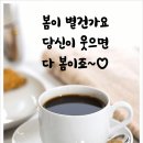 일요산행 후기 이미지