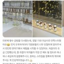 대전보람요양병원 이미지