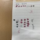 정성의료기상사 | [자궁 경부 무력증] 순천향대 천안 병원 산부인과 분만실 (고위험산모) / 60일 간의 입원 기록