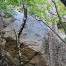 북면117 | 강원도 설악산 대청봉 (오색코스) + 단풍 + 후기 + 주차장