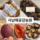 고산대추곶감농원 | [사남매곶감농원] 완주곶감축제, 가정용 흑곶감 추천!/크림치즈곶감말이 만들기