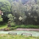 영산정기시장 이미지