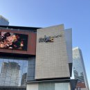 칭다오 믹스몰 완상청 구경 | 미니소, 차오브율리안 에그타르트, 모어요거트 등 후기