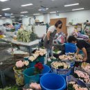 농협부산공판장2번 | 부산 엄궁 농협화훼공판장, 꽃시장 방문 후기