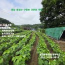 홍성 /시내.홍성역.의료원 차량 10분 농지대장가능 433평/주택21.7평 2억5천만 이미지