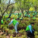 MOM’S GARDEN 이미지
