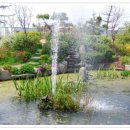 칠보초등학교 이미지