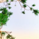 산천한의원 이미지