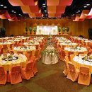 비피 인터내셔널 이미지