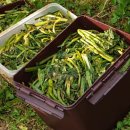 방곡농장 이미지